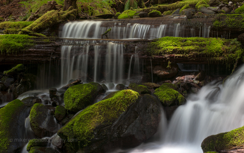 Olympic National Park Falls